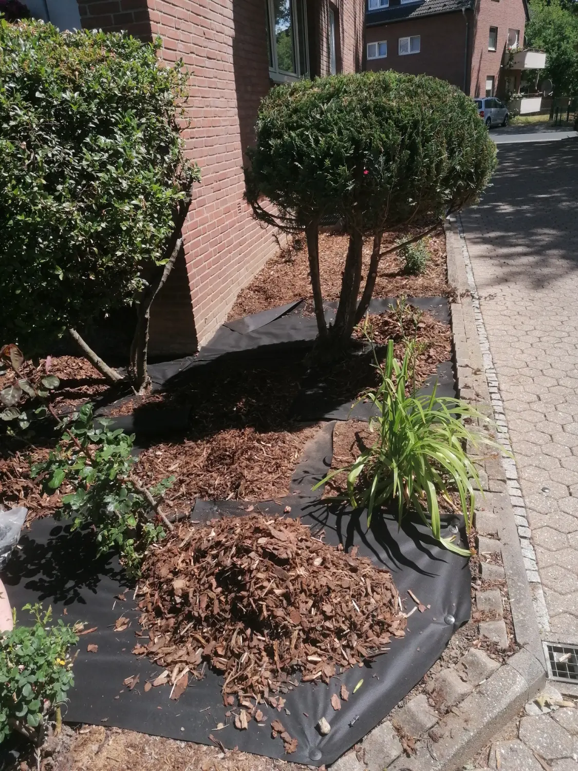 Hausmeisterservice, Gartenpflege