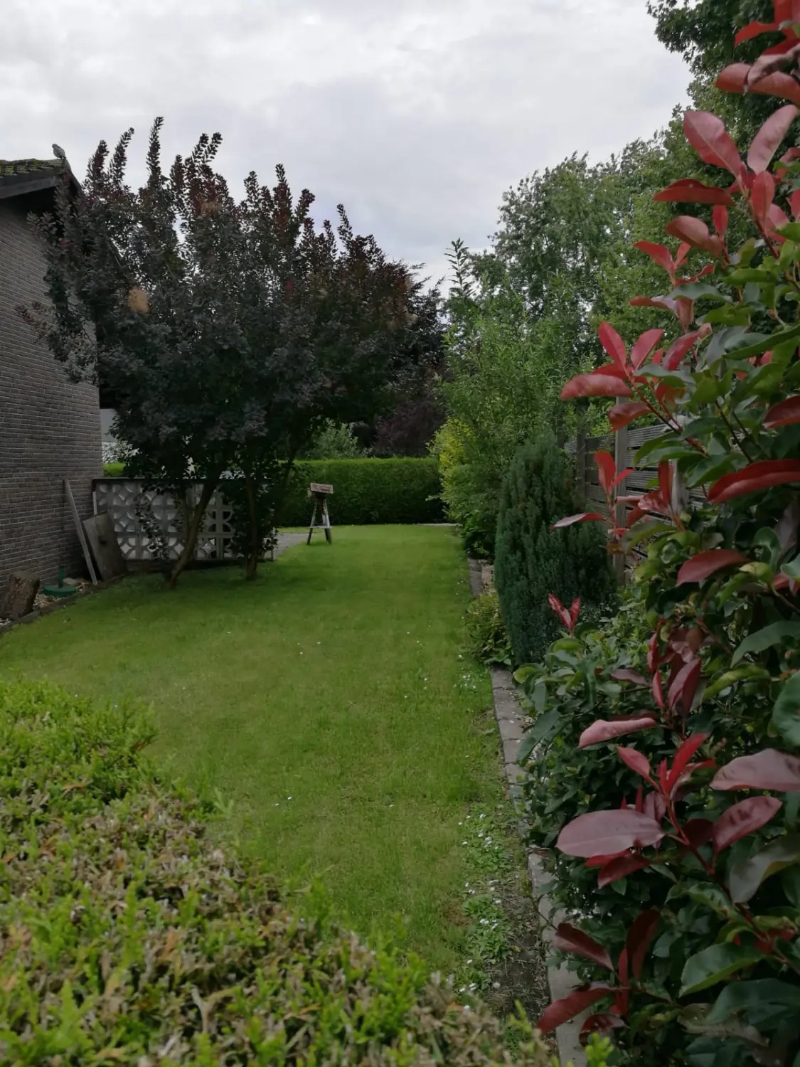 Hausmeisterservice, Gartenpflege