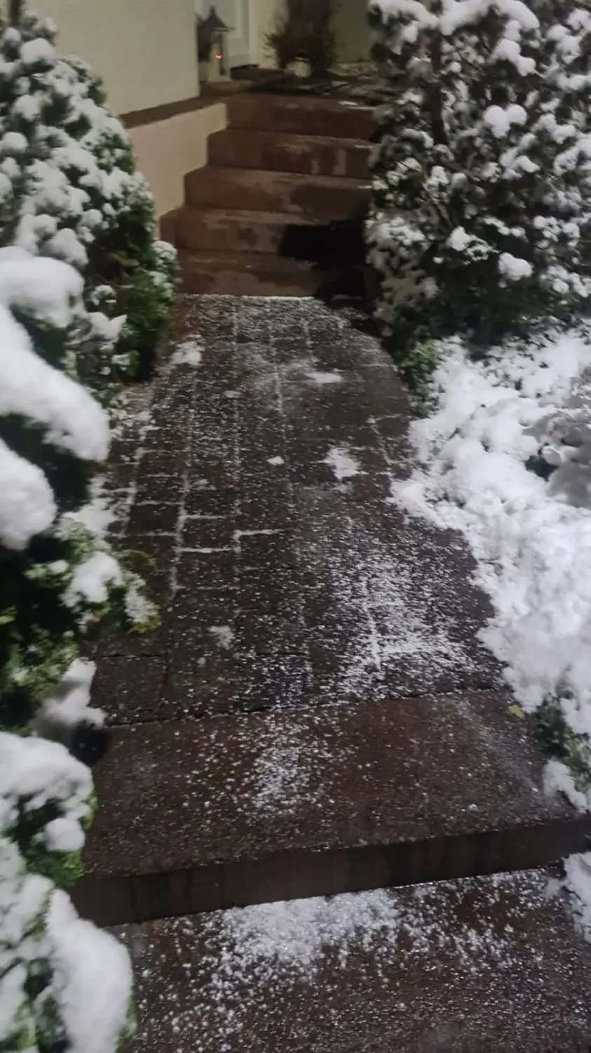 Hausmeisterservice, Gartenpflege im Winter